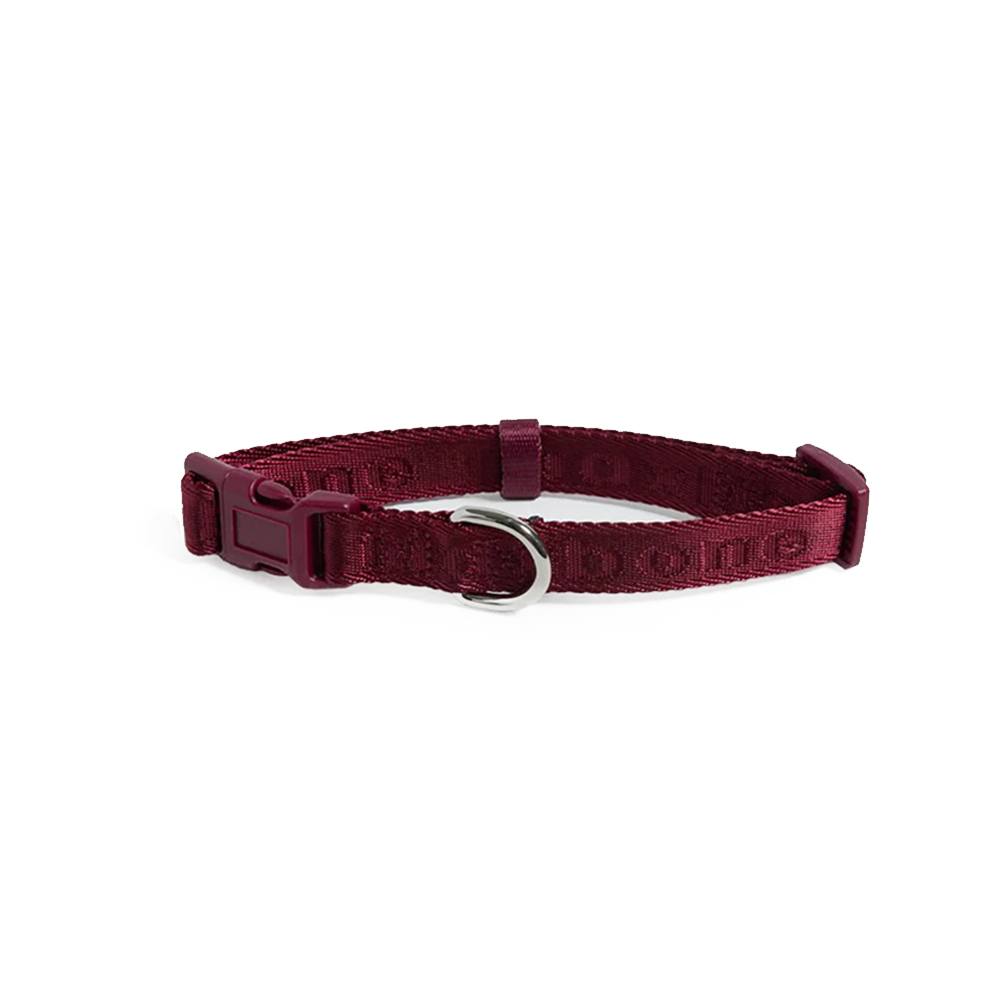 Signature Collar