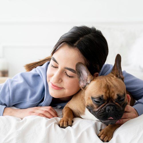 Creating a Healthy Lifestyle for Your Pet