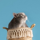 test-5